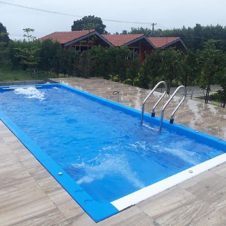 Trippr Chikkamagaluru Hostel Chikmagalūr Buitenkant foto